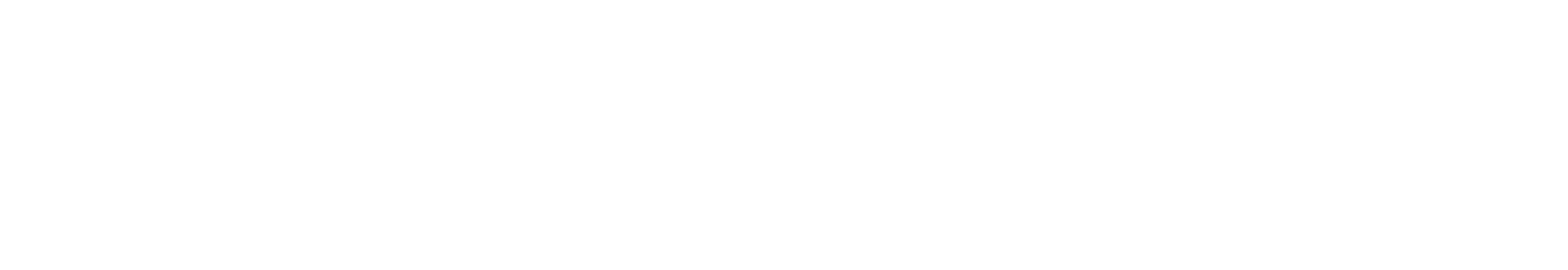 wisetack-logo-white